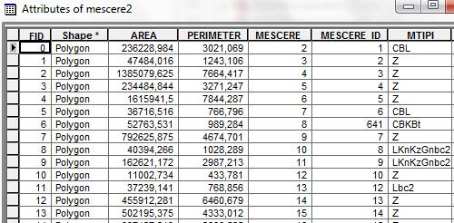 2. Sorgulama 1.