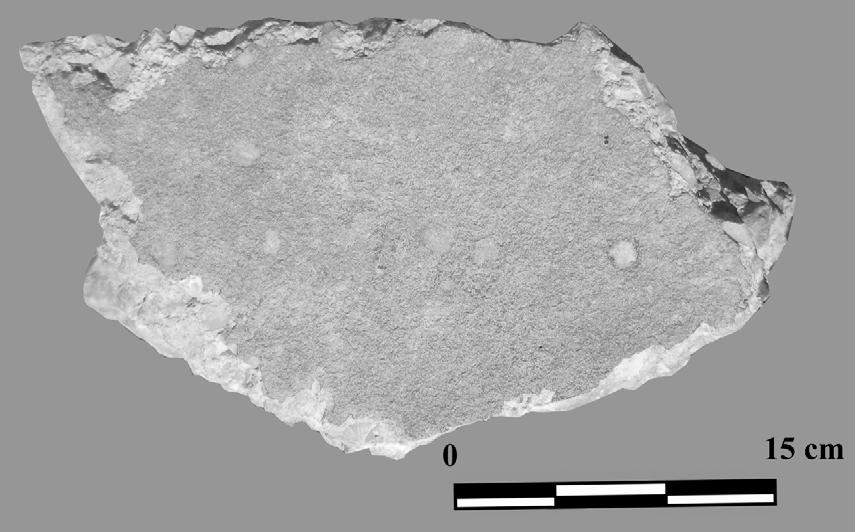 Pre-Pottery Neolithic Settlement in Southeastern
