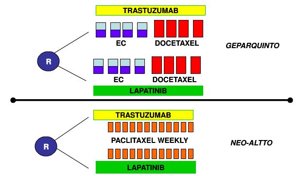 TRASTUZUMAB vs LAPATINIB