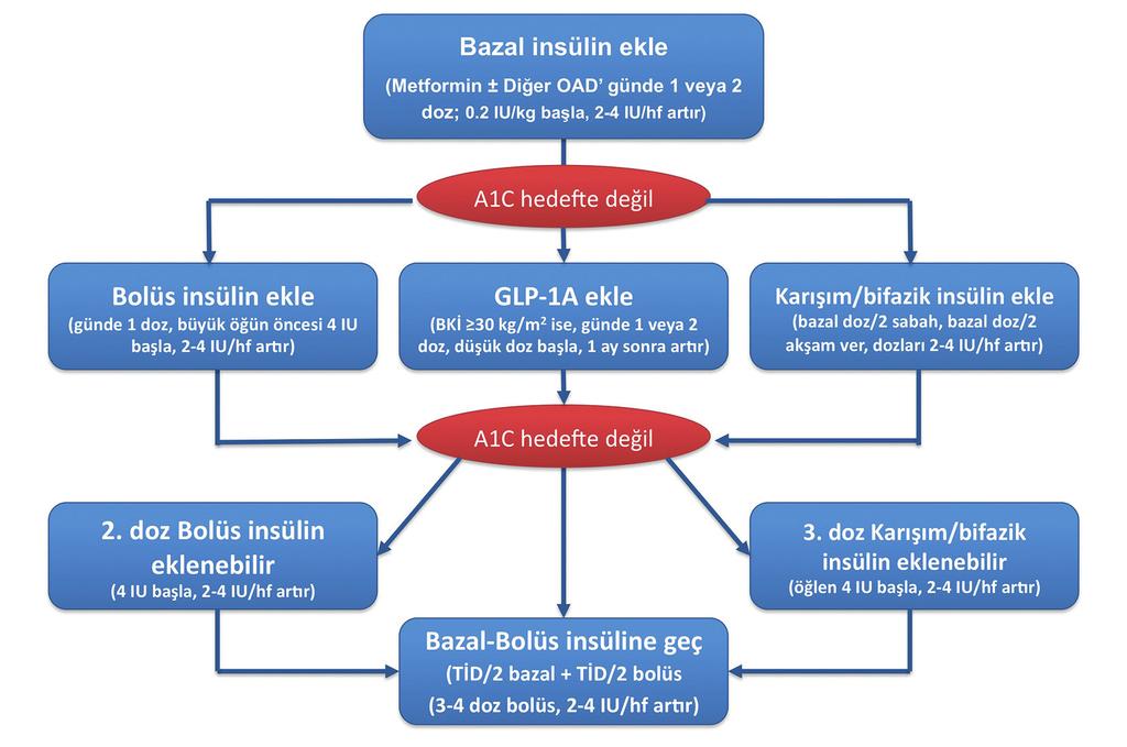 İntensif (yoğun) insülin tedavisi, bazal-bolus (kademeli veya çoklu doz) insülin tedavisi şeklinde düzenlenmelidir.