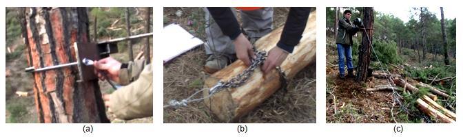 II. Ulusal Akdeniz Orman ve Çevre Sempozyumu gerçekleştirirken yaralandığı tespit edilen ağaçlara ait bilgiler zaman ölçümünün hemen ardından veri kayıt tablosuna kaydedilmiştir.