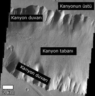 Olguların Analizi- Kanyonlar Yapı Örnek Açıklama Dünya'daki kanyonlar belirgin bir yükselti ve