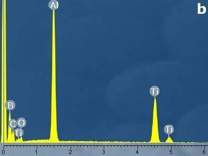 32 µm) ve dolayısıyla daha yüksek spesifik yüzey alanına (0,253 m2/g) sahip B4C tozları ile devam ettirilmiştir.