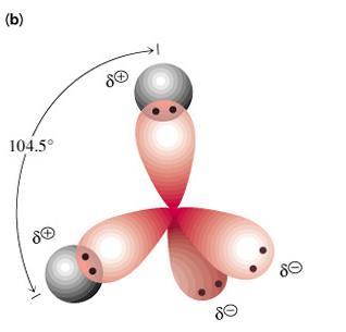 Suyun molekül yapısı Su molekülü tetrahedral yapıdadır Molekül yapısı buna meyillidir Hidrojen atomları kısmi