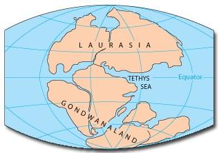 # İlkel Zaman (Prekambriyen): - İlk kıta çekirdekleri oluşmuştur. - 4 milyar yıl sürmüştür.