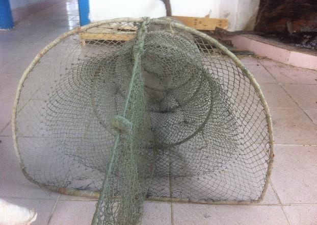 Balıkçılarla yapılan görüşmelerden elde edilen verilere göre ağlardan elde edilen ekonomik türler başlıca topan kefal (Mugil cephalus), ceran (Liza ramada), mavraki (Chelon labrosus), altınbaş (Liza