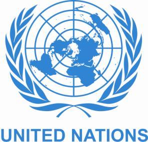 Birleşmiş Milletler için Bütün Devlet Yaklaşımının Taşıması Gereken Özellikler - Çağdaş kamu yönetimi -