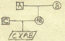 12 Dört hatlı melezlemede A ve B, C ve B ırklarının melezlemeleri yapılır.
