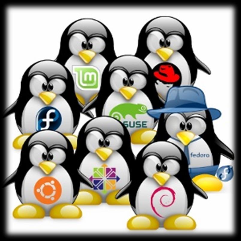 Dağıtım kavramı, özgür yazılım felsefesinin çok alternatifli dünyasının bir sonucu olarak ortaya çıkmış, Linux'a özgü bir terimdir.