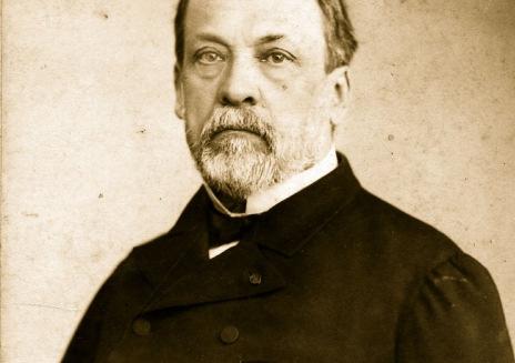 Bu süreç, Louis Pasteur un alkol fermantasyonunu mayaların yaptığını tespit etmesiyle ilerleme