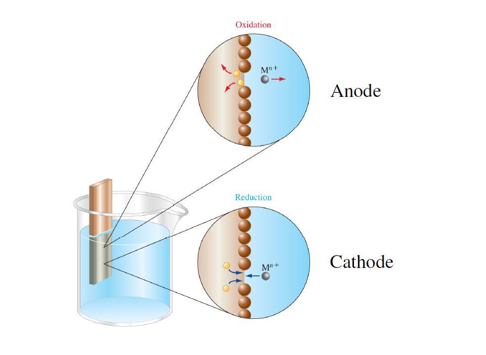 Elektrot Potansiyeli Yükseltgenme İndirgenme Elektrokimyasal yarı-hücre Yükseltgenme: Elektrotdaki bir metal atomu, M, n elektron kaybeder ve M