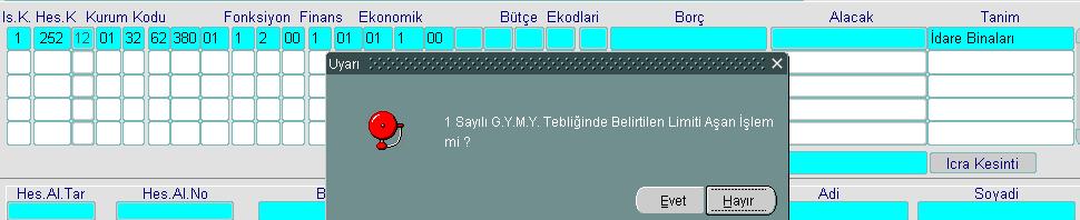 Bu bilgi, ilgili duran varlık hesabının bu satırında duran varlık amortisman ve yeniden değerleme giriş formundan bilgi girişi yapıldığını gösterir.