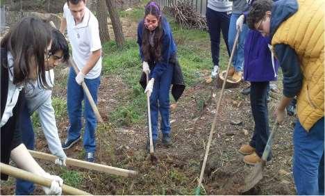 Topluluk Bahçesi Şehir içindedir, ufak alanda da başlayabilir.