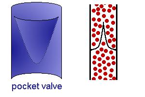 4) Kalbden uzak bölgelerdeki venalarda (bacak venaları) intima tabakası lumene doğru uzayan kıvrımlar (valvula,kapakcık) yaparlar.