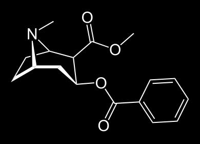 Alkaloidler Diğer Alkaloidler Meskalin: Bazı kaktüs türlerinde bulunur. Kuvvetli hayal kurdurma gücüne sahiptir. Kokain: Anestezik etkisi olan bir alkaloiddir.
