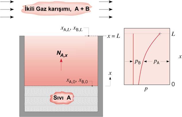 bleşennn Durgun B Bleşen İçnden Geçerek Dfüzlenmes Gaz absorpsyonu bu duruma en uygun örnek oluşturmaktadır.