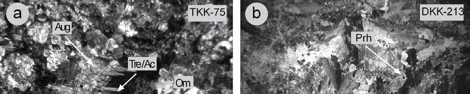 mineralleri (Ti-Aug=Titan-ojit, Chl=Klorit, Om=Opak mineral, Aug=Ojit). Figure 2.