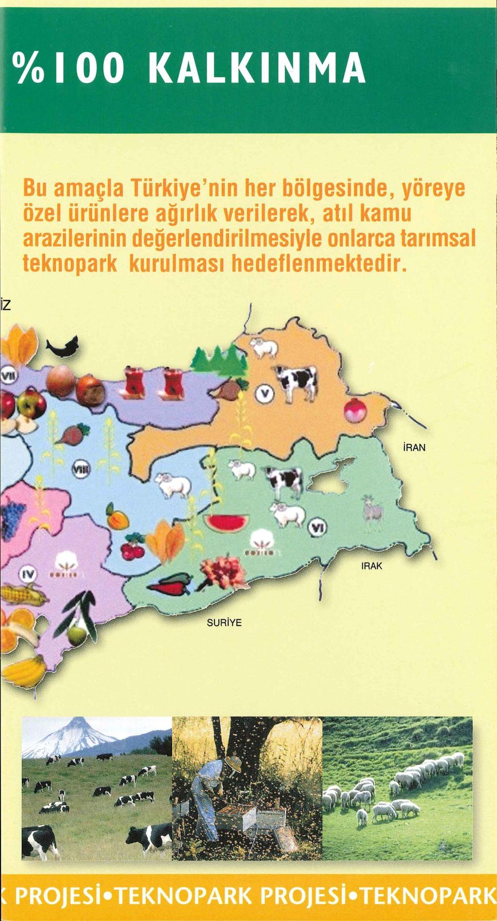 %I00 KALKINMA Bu amaçla Türkiye'nin tier bölgesinde, yöreye özel ürünlere ağırlık verilerek,