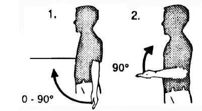 puan verilmektedir ve üst kol pozisyonunda eğer omuz kalkmışsa; +1, eğer üst kol zorlanıyorsa; +1, eğer kol destek alıyorsa ya da yaslanılmışsa; -1 puan verilmektedir (McAtamney ve Corlett, 1993).