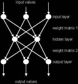 perceptron algorithm A neural network