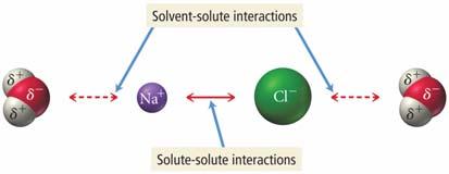 Bir Çözücü Olarak Su Sodyum klorit suda çözüldüğünde,na + ve Cl - iyonları birbirini