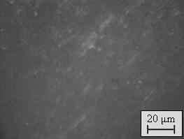 Optik mikroskop fotoğraflarında, kaplama yapılmayan alüminyumun yüzeyi ile polianilin kaplama yapılan alüminyum yüzeyleri karşılaştırıldığında, alüminyum yüzeyinin kaplama sonrasında, koyu yeşil