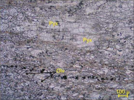 yarıözşekilli opak mineraller de örnekte izlenmiştir. Tane boyları 0,08-0,2 mm arasında değişmektedir. Şekil 3.5. Metaperidotitlerin (YM 10 ) 1. ve 2.