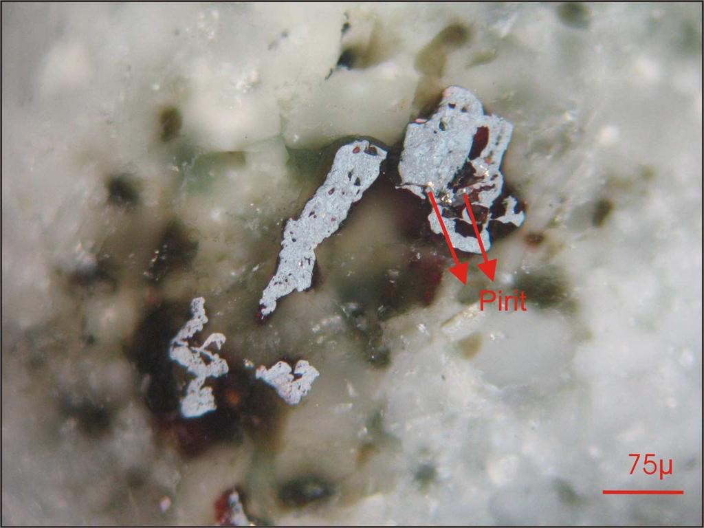 Şekil 4.1. Amfibolit içerisindeki pirit Şekil 4.2. Amfibolit içerisindeki pentlandit (Pent) ve limonit (lmt) 4.2. Metadunit Cevher mikroskobisi incelemelerinde metadunitlerde kromit, manyetit, pentlandit, kalkopirit, pirit, millerit ve hematit tespit edilmiştir.