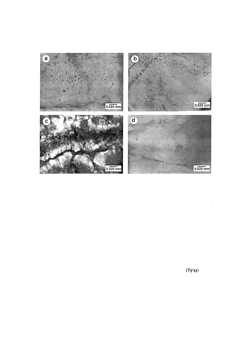GÖKÇE-BOZKAYA Şekil 5: Değişik tip sıvı kapanımlarından mikroskopik fotoğraflar: a.) Barit kristalleri içindeki tek sıvı fazlı kapanımlar (TN); b.