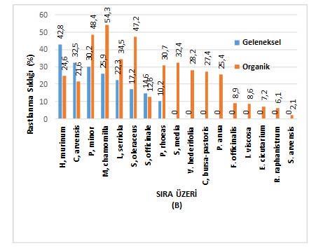 Ege Bölgesi Geleneksel ve Organik Bağ Alanlarında Yabancı Ot Tür Yoğunluk Rastlanma Sıklıklarının Belirlenmesi ve Karşılaştırılması Şekil 4.