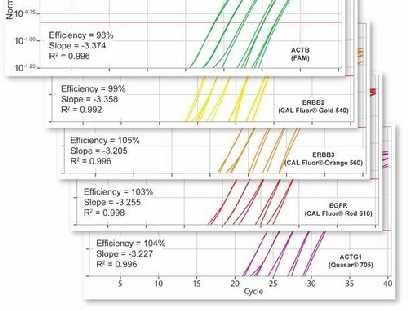 Real-time PCR Yüksek multipleks kapasite; farklı floresan moleküllerin, farklı dalgı boylarında ışıma