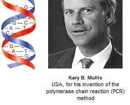 Polymerase Chain Reaction (PCR) 1983 yılında polimeraz zincirleme tepkimesinin keşfedilmesi