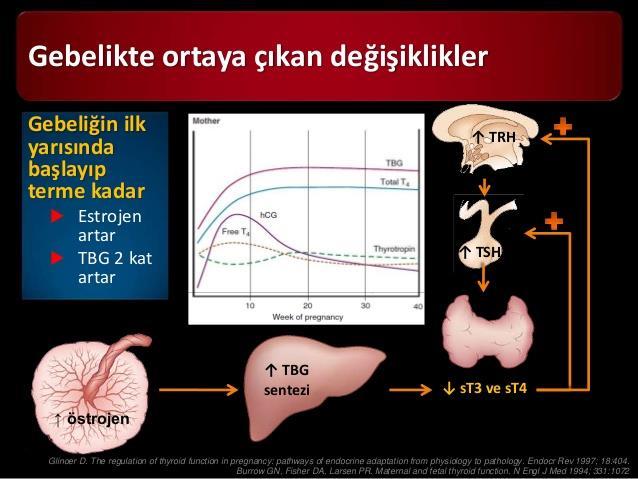 Gebelikte Ortaya