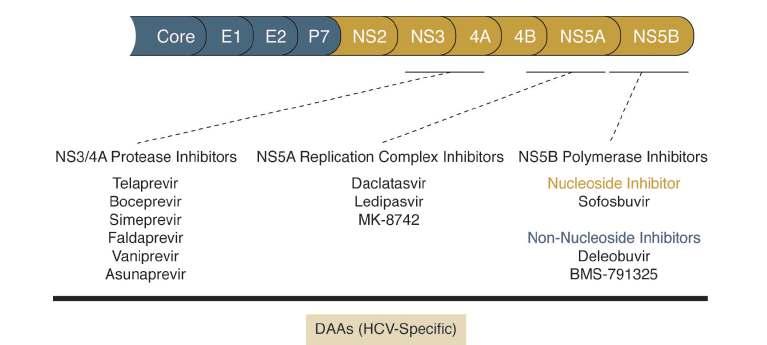 Direk Etkili Ajanlar (DAA DEA) Nucleos(t)ide inhibitor PREVİR