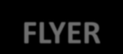 FLYER GENEL MAKSATLI UÇAK İÇ TEMİZLEYİCİ & DEZENFEKTAN Süper konsantre deterjan FLYER, mükemmellik