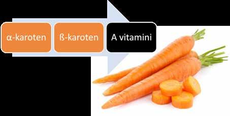 53 zeaxantin gibi) ve karotenler (α-karoten, β-karoten ve likopen gibi) olmak üzere ikiye ayrılmaktadır. Havuç α-karoten ve ß-karoten içeriği bakımından oldukça zengin bir türdür (Şekil 1).