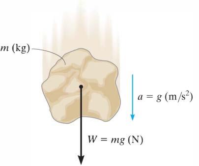 Newton Hareket Denklemleri İkinci bağıntıda geçen kütle cisme ait değişmez bir özellik olup kg birimi ile ifade edilir. Değişken olan cismin ağırlığıdır. Ağırlık m.