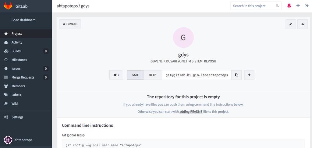 19. GitLab üzerinde oluşturulmuş gdys projesi için gdysapi ve ahtapotops