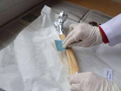 Şekil-2 Giresun Adası Kazısından çıkartılmış olan femur kemiklerinin dış kısmı zımpara kullanarak temizlenmiştir Fiziksel olarak temizliği tamamlanan femur kemiklerine kimyasal dekontaminasyon işlemi