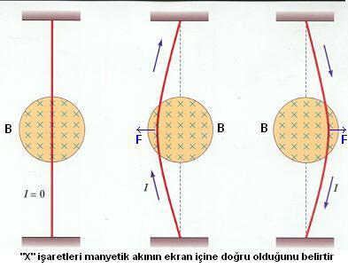 Belirlenmesi Manyetik Alan İçinde