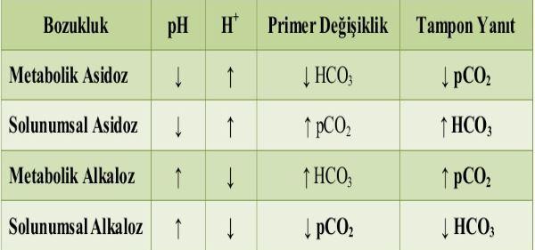 Değerlendirme Yaklaşımı Kompansasyon Mekanizmaları Solunumsal asidozda bikarbonatın yükselmesi, Solunumsal alkalozda bikarbonatın azalması, Metabolik asidozda parsiyel