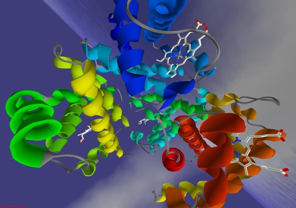 Hemoglobin (Hgb) Kan sayım cihazlarında eritrositler lizise uğratılarak