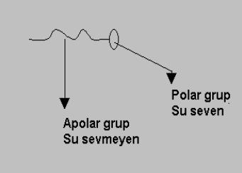 2.5. Yüzey Aktif Maddeler Suda veya sulu bir çözeltide çözündüğünde yüzey gerilimini çoğunlukla azaltan, aynı zamanda da iki sıvı arasındaki yüzeylerarası gerilimi de etkileyen kimyasal bileşiklerdir.