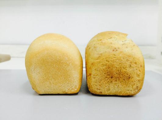 15 de aynı oranda pelemir ekstrakt (1) ve unu (2) katılarak yapılmış ekmekler görülmektedir.