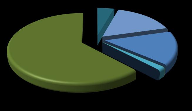 x 1 MWh Elektrik Üretim Verileri SERBEST ÜRETİM ŞİRK. SANT. 62,12% Y.İ.D ŞİRKET SANT. 4,4% Y.İ. ŞİRKET SANT. 16,16% İŞL.HAKKI DEVİR SANT. 1,59% EÜAŞ SANT.