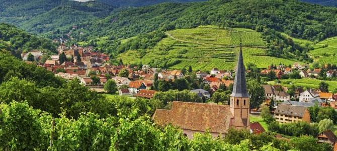 Tipik Alsace bölgesi evleri, surları ve şarap mahzenleri ile ilk günkü ihtişamını hala korumakta olan Riquewihr köyünü keşfettikten sonra Colmar yolu üzerinde bulunan, dolambaçlı sokakları ve