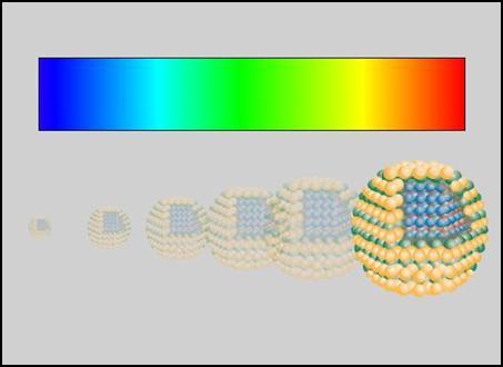 30 Şekil 3.2. Boyutlarına bağlı olarak renk değiştiren Kuantum Dotlar dotlar çeşitli hayvan modellerinde in vivo lenfatik görüntüleme için düzenlenmiştir (Kim, 2004).
