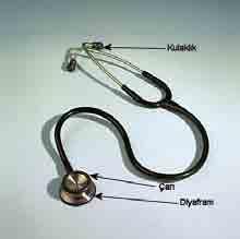 Stetoskop Stetoskopun göğüs kısmında biri diyafram, diğeri çan şeklinde iki kısım bulunmalı Kalın ve ses geçirmez bir hortumu bulunmalı Bu hortumun 5-10 mm çapında ve 25-30 cm uzunlukta olmalı