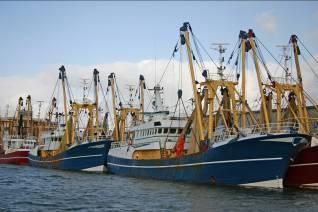 Balıkçılık Su Ürünleri yetiştiriciliği Tarım dışı