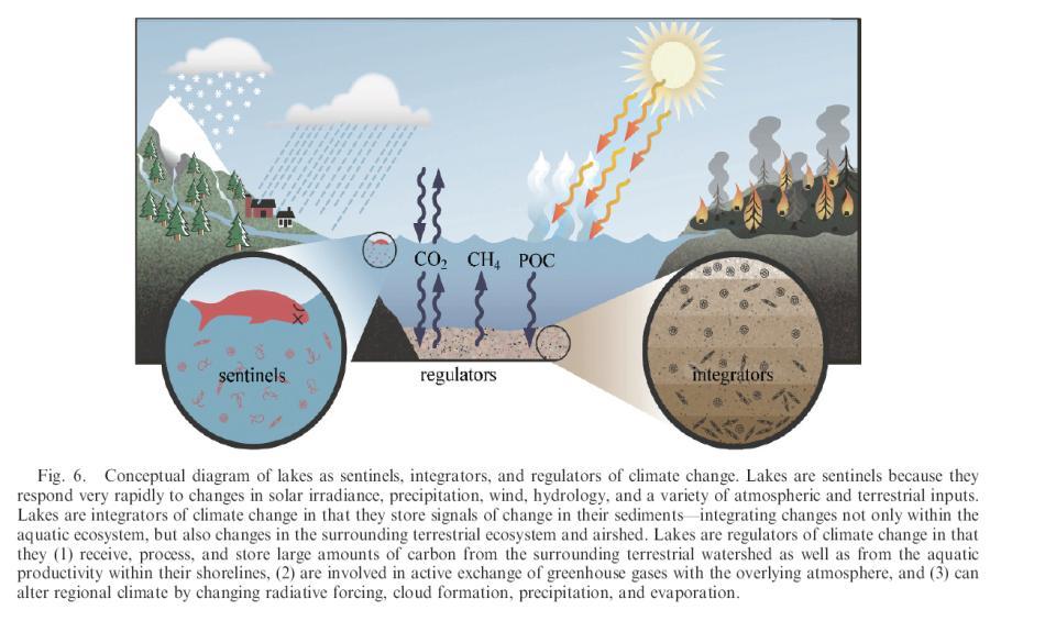 Göller iklim değişiminin: 1. GÖZCÜSÜ, 2: TÜMLEYİCİSİ ve 3.